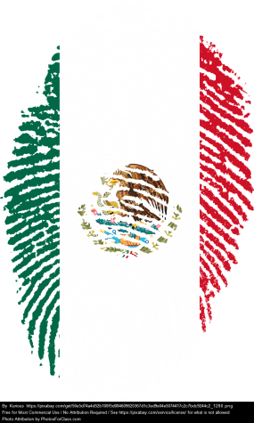 Thumbprint as Mexican flag