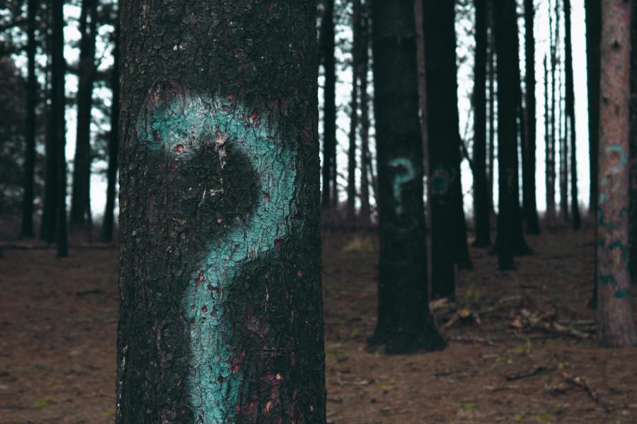 Question mark painted on trees