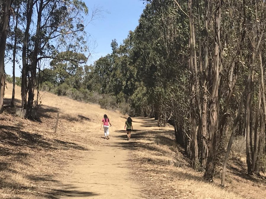 Two girls hiking through tall trees