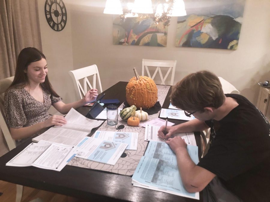 Male, female twins at kitchen table filling out ballots