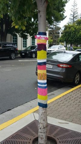 Yarn art around downtown trees