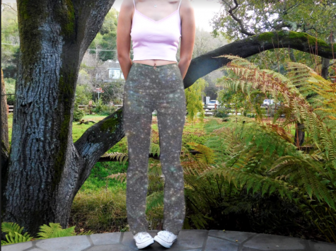 body photo of fashion pants and top