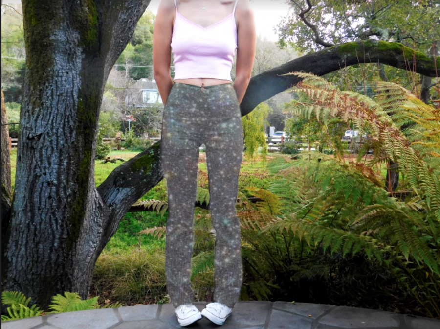 body photo of fashion pants and top