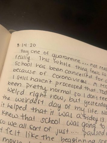 Open look at student diary