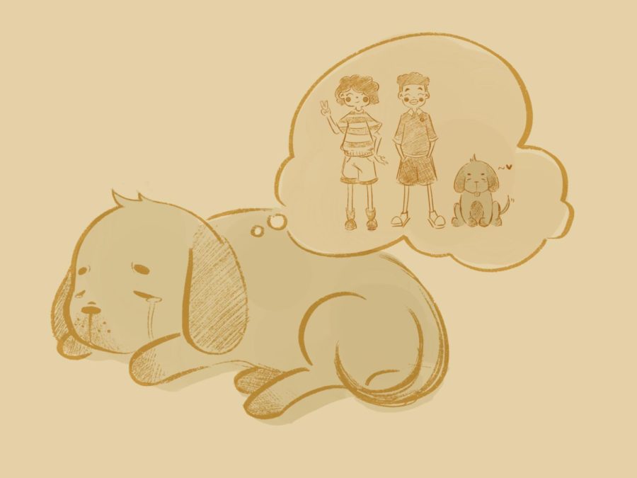Drawing+of+sleepy+puppy