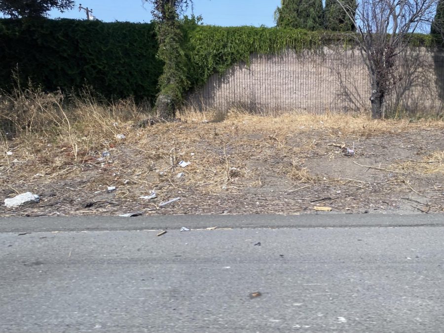 Photo showing trash on side of road