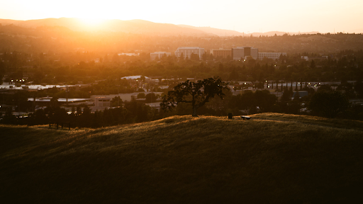 Distance photo of community