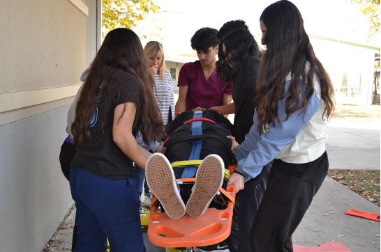 Dozier-Libbey Medical High School teacher Kim O’Leary, background on left, watches as students practice lifting a student on a spinal board to simulate pre-hospital trauma care during one of the EMS exercises on campus. Photo courtesy Dozier-Libbey Medical High School Yearbook team