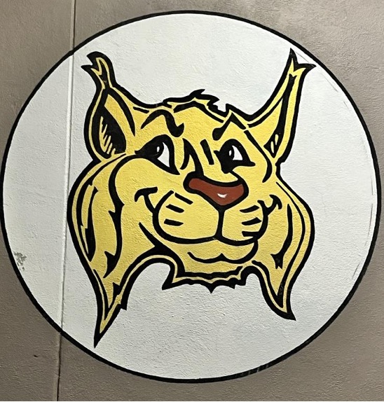 The Burton Valley Elementary School Bobcat mascot is painted outside a classroom. The district governing board voted to continue its AIM program for another year. 
