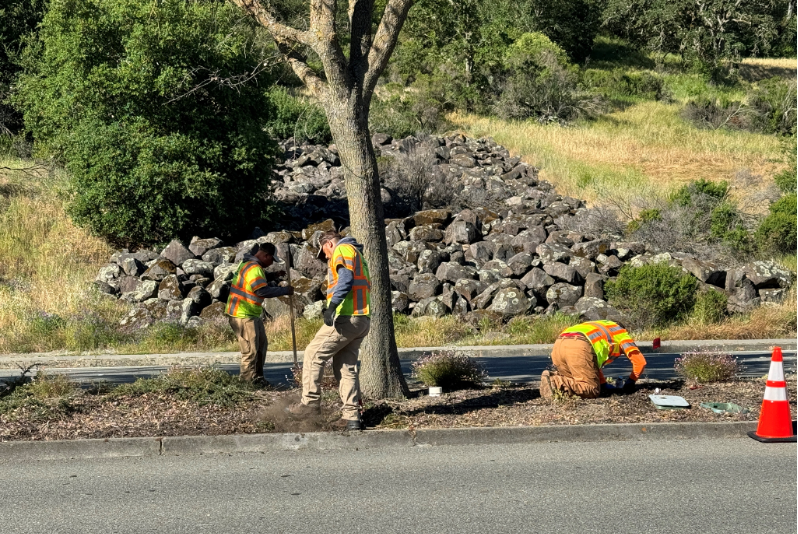 Workers from the Lafayette Public Works Department work to clear weeds from the median on Pleasant Hill Road. Photo Credit: Lafayette Public Works Department

