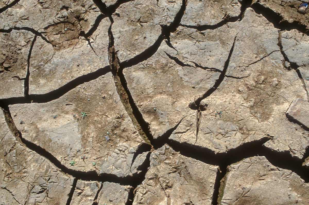 More than half of California is abnormally dry and for youth in Contra Costa County, the future is not looking so bright. Photo Credit: Norm Hughes/California Department of Water Resources via Bay City News

