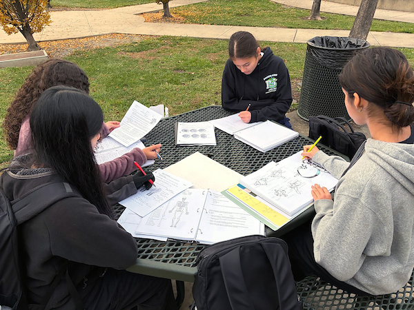 Dozier-Libbey Medical High School students (L-R) Kaitelyn Balamiento, Shesley Guerrero, Analyssa Salazar, and Desteney Zepeda study together as they prepare for their upcoming end-of-semester finals. 