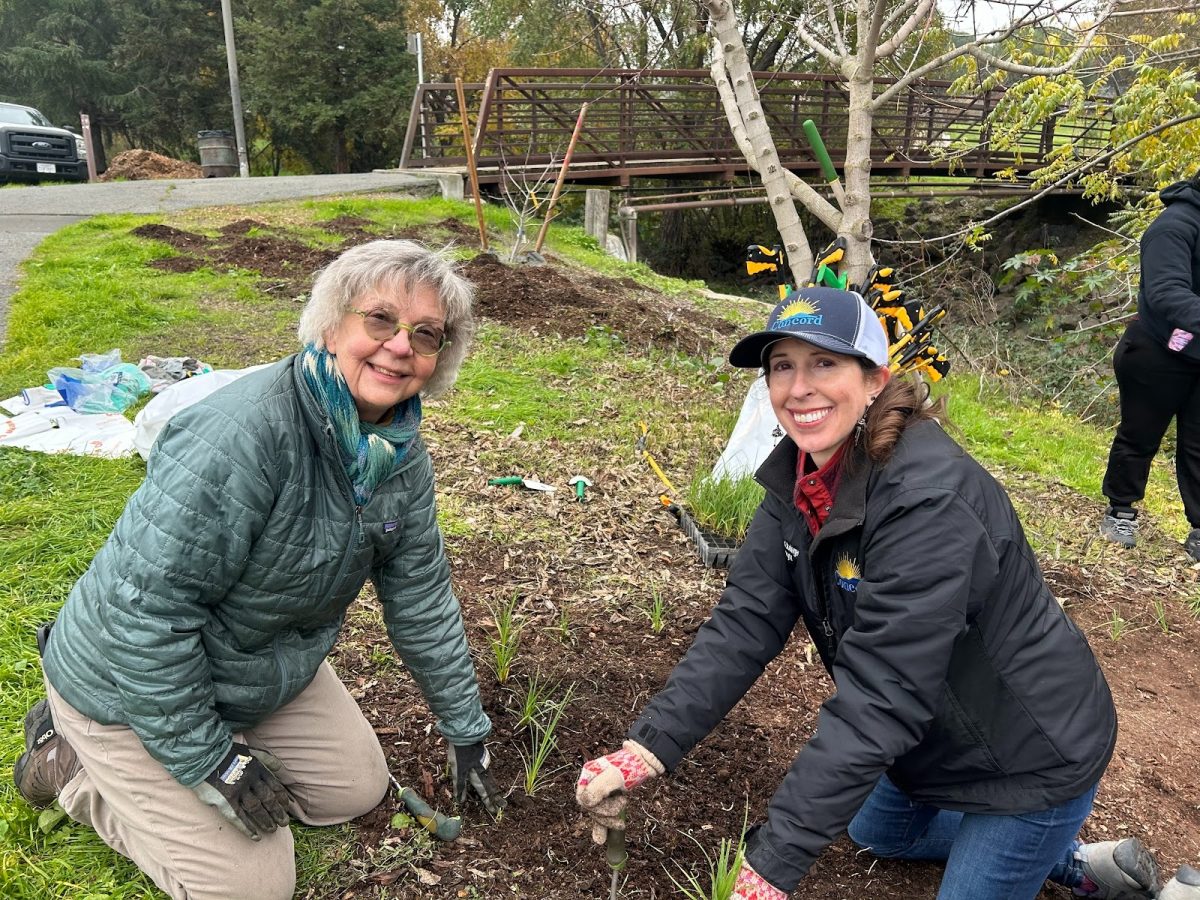 Concord Mayor Carlyn Obringer, right, helps volunteer Emily Wheeler during the Giving Natives a Chance event on Dec. 6. Wheeler is a volunteer with Friends of Concord Creeks.
